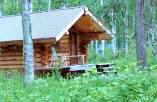 Bear Den Cabin - Talkeetna Alaska